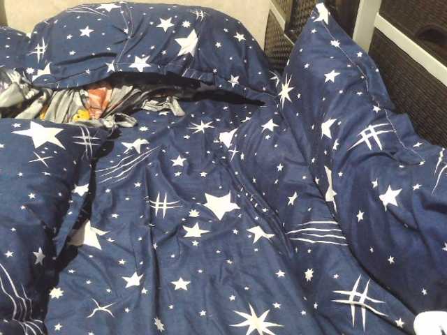 candyshane live cam on BongaCams