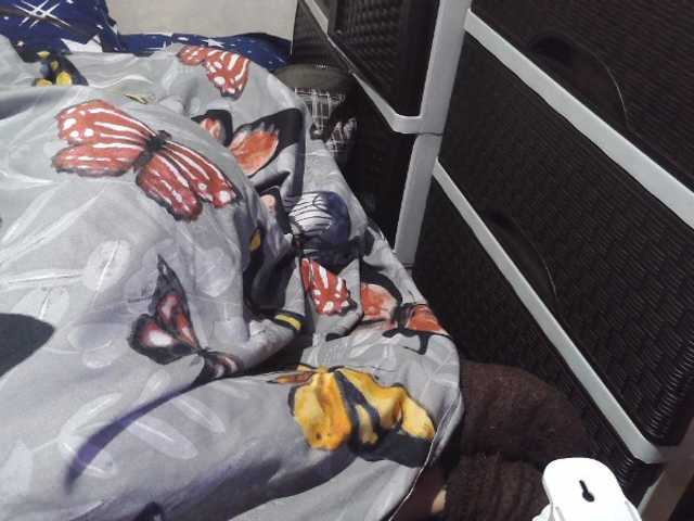 candyshane live cam on BongaCams