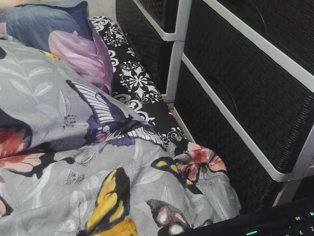 candyshane live cam on BongaCams