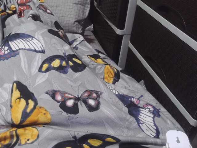 candyshane live cam on BongaCams