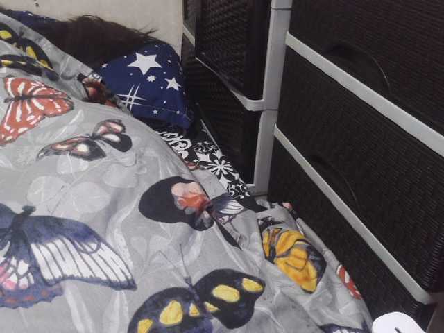 candyshane, en vivo ahora en BongaCams