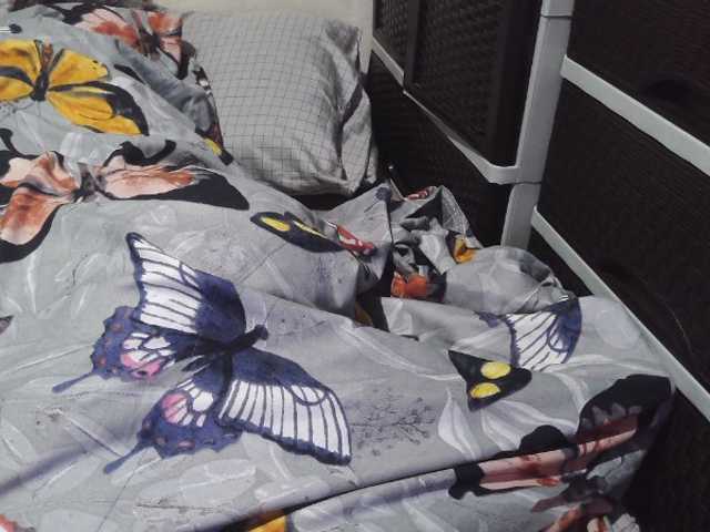 candyshane