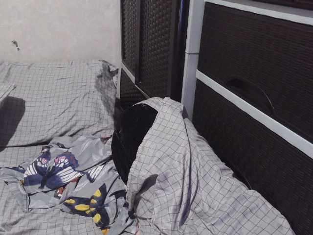 candyshane live cam on BongaCams