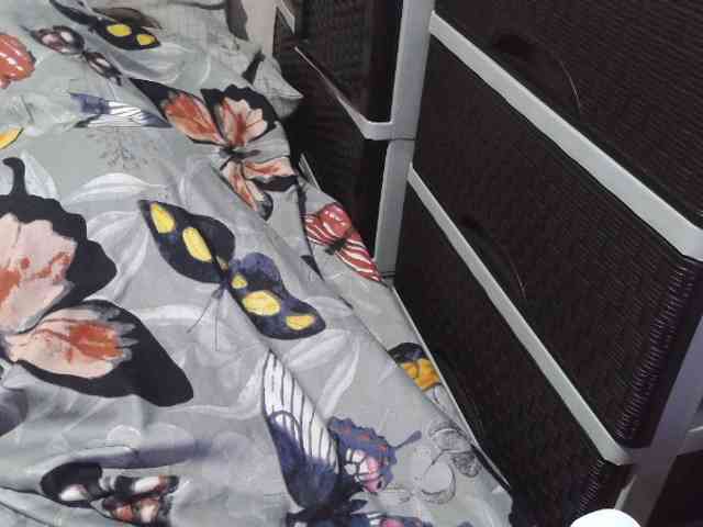 Cassiee webcam