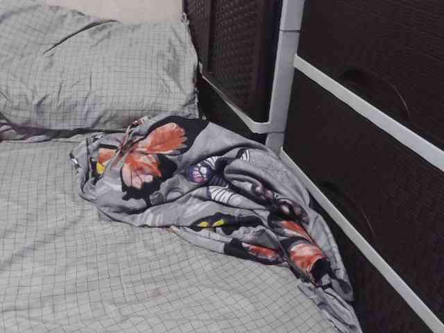 Cassiee webcam