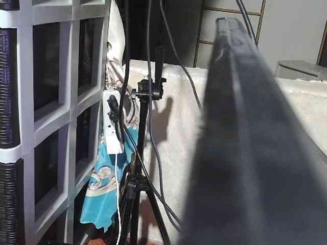 Cassiee webcam