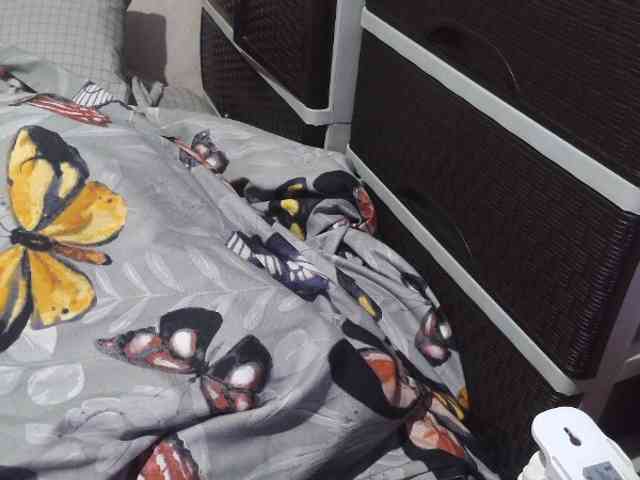 Cassiee webcam