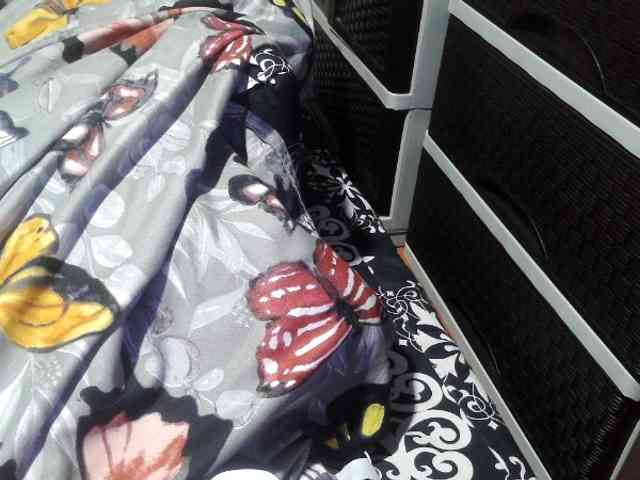 Cassiee webcam