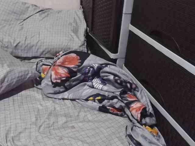 Cassiee webcam