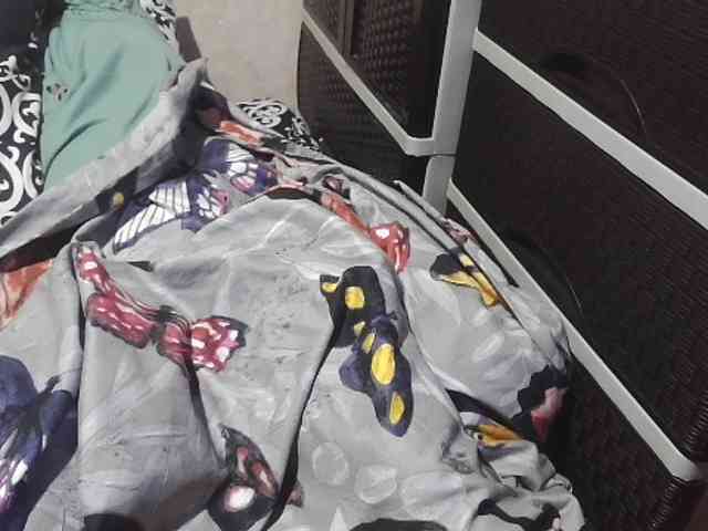 candyshane