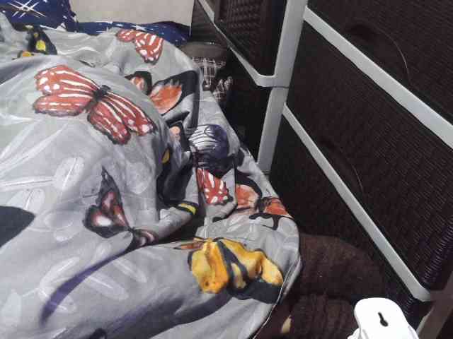 Cassiee webcam