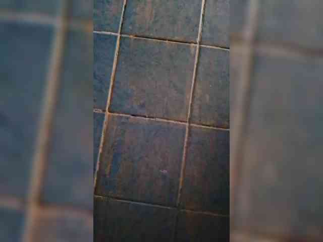 Cassiee webcam
