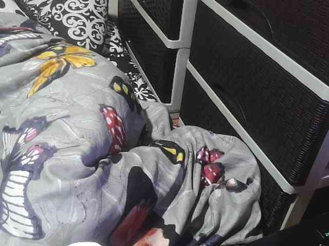 Cassiee webcam
