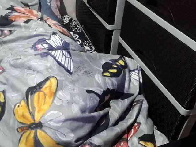 Cassiee webcam