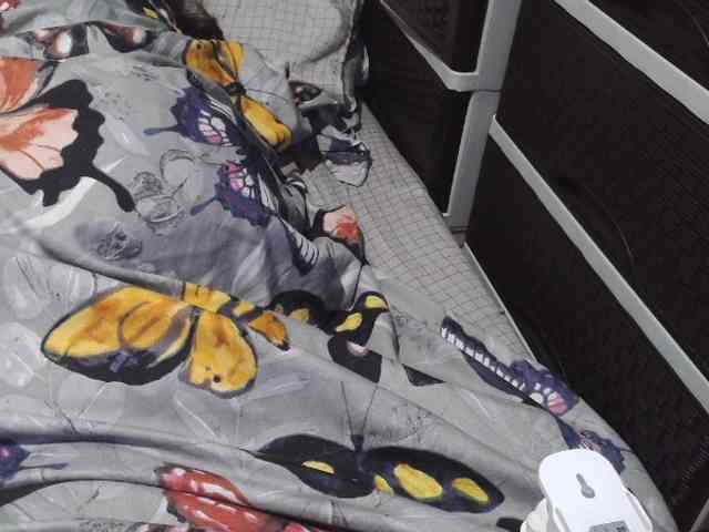 Cassiee webcam