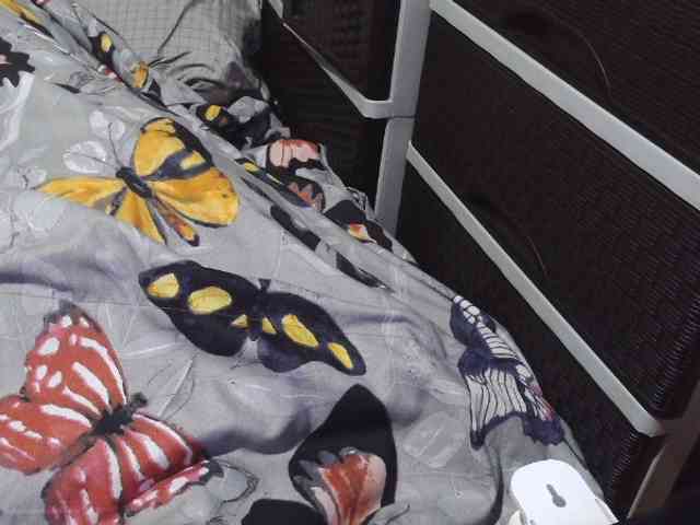 Cassiee webcam