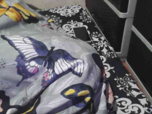Cassiee webcam