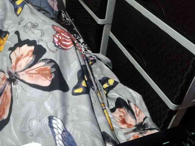 Cassiee webcam