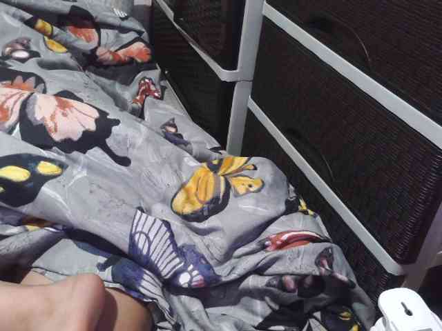 Cassiee webcam