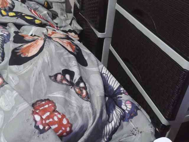 Cassiee webcam