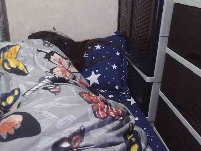 Cassiee webcam