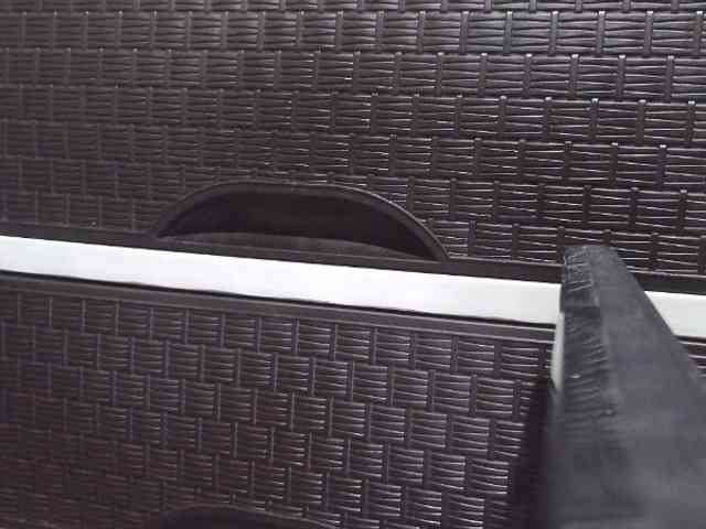 Cassiee webcam