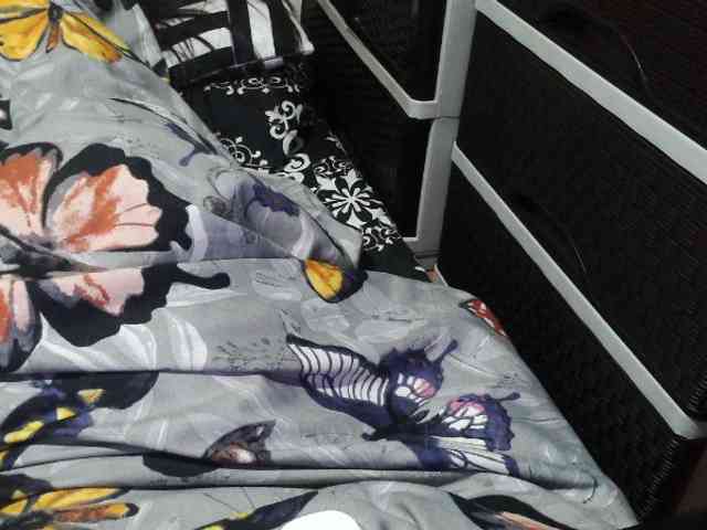 Cassiee webcam