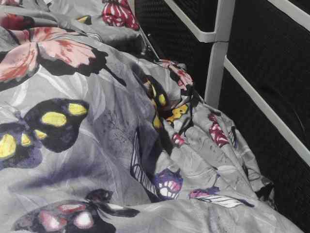Cassiee webcam