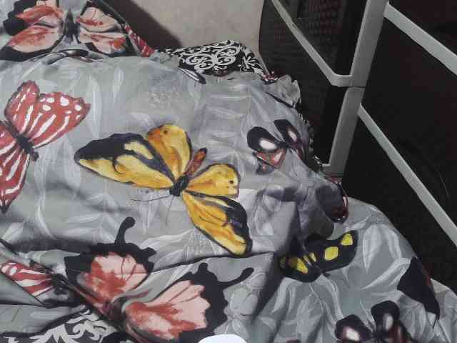 Cassiee webcam