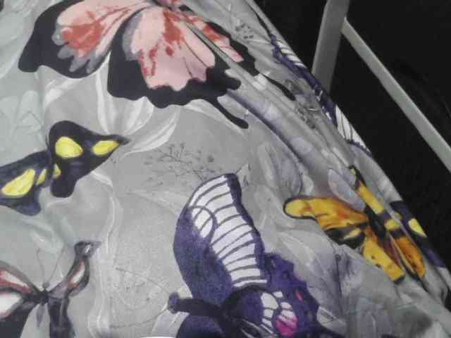 Cassiee webcam