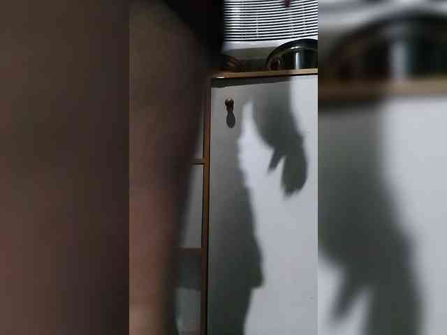 Cassiee webcam