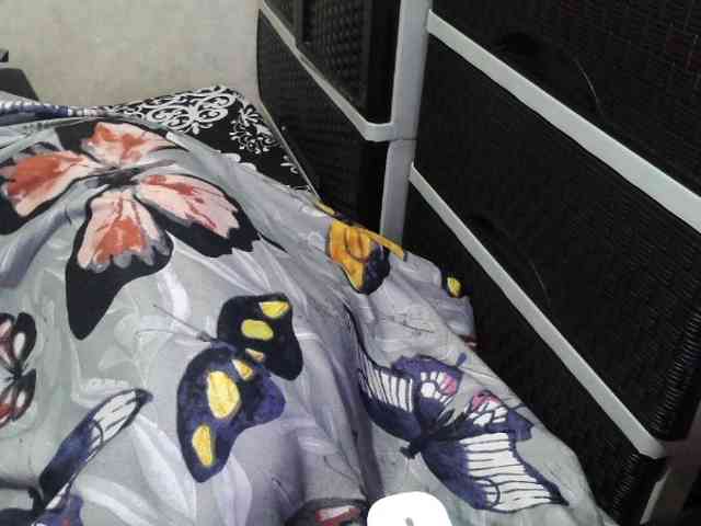 Cassiee webcam