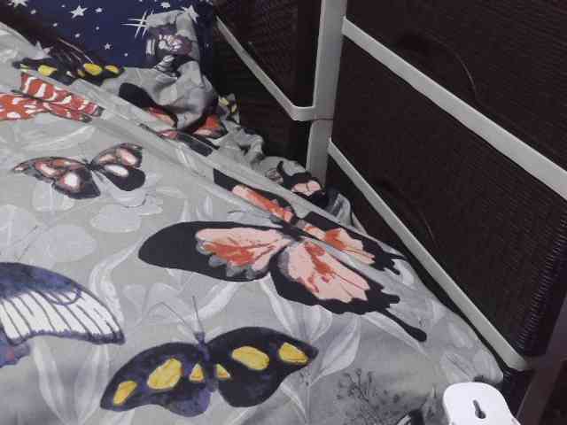 Cassiee webcam