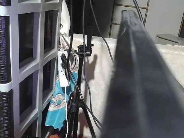 Cassiee webcam