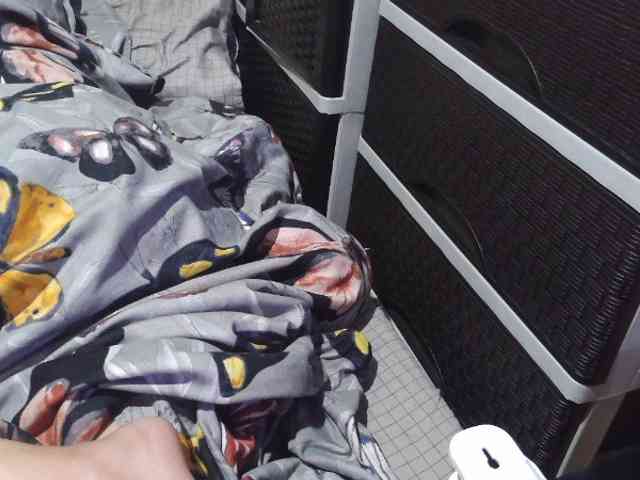 Cassiee webcam