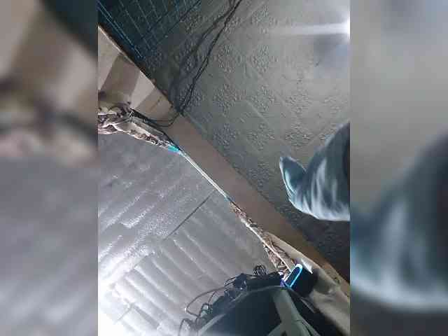 Cassiee webcam