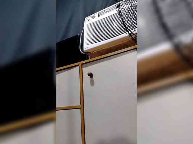 Kazzandra webcam