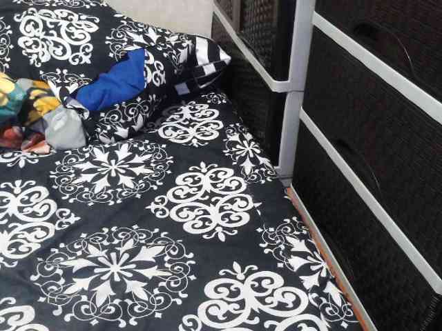 Cassiee webcam