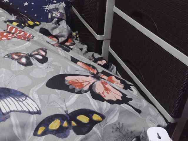 Cassiee webcam