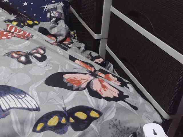 Cassiee webcam