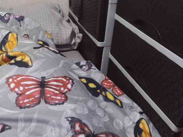 Cassiee webcam