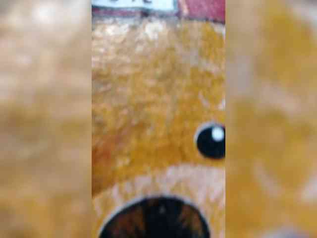 Kazzandra webcam