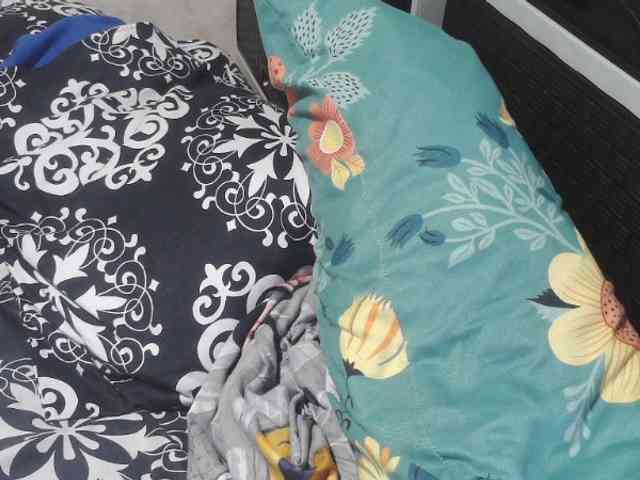 Cassiee webcam