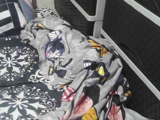 Cassiee webcam
