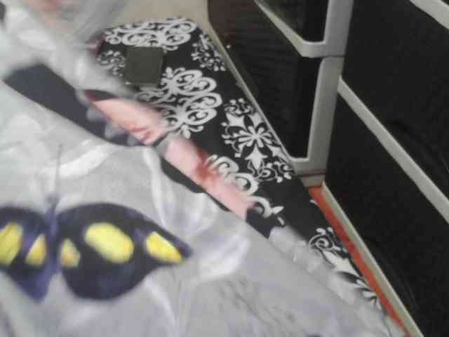 Cassiee webcam