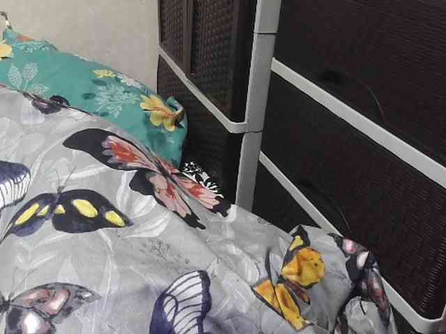 Kazzandra webcam