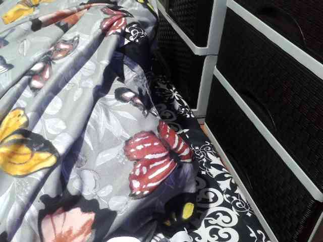Cassiee webcam