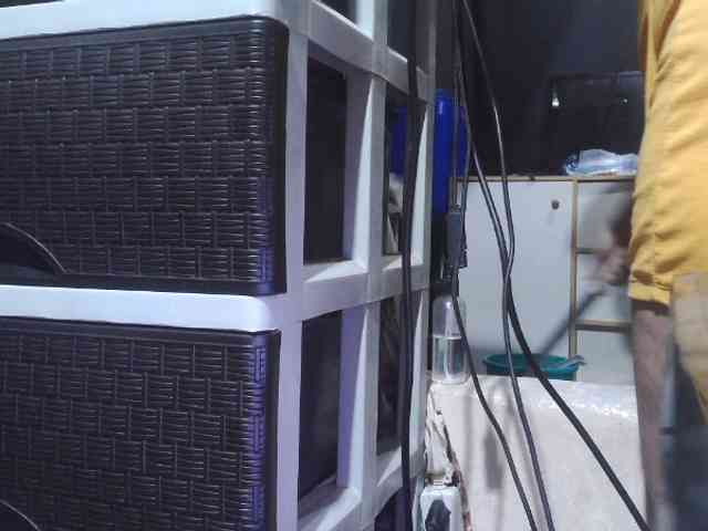 Cassiee webcam