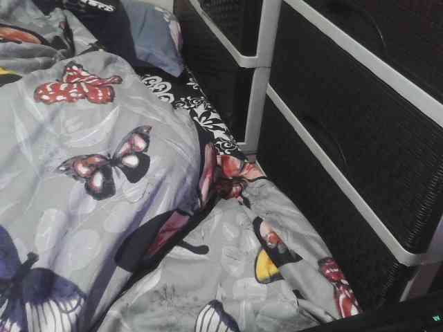 Cassiee webcam