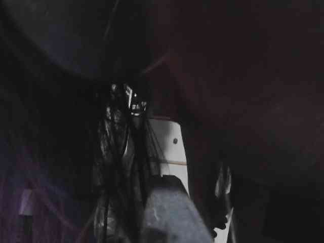 Cassiee webcam